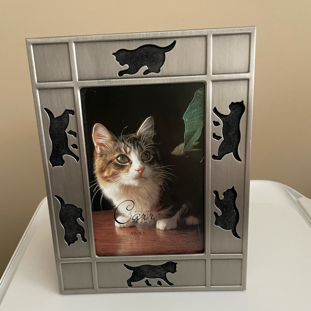 Vintage 90s 3x5 Cat picture frame